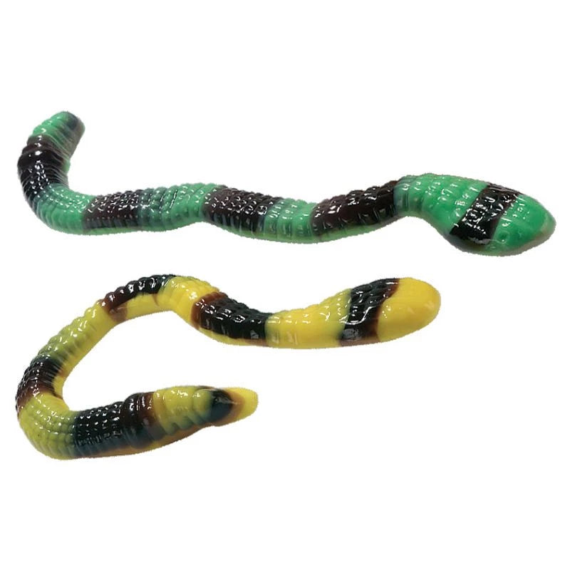 Serpents Anacondas Géants Fruités – Bonbons Gélifiés Halal – Dulceplus – 100g