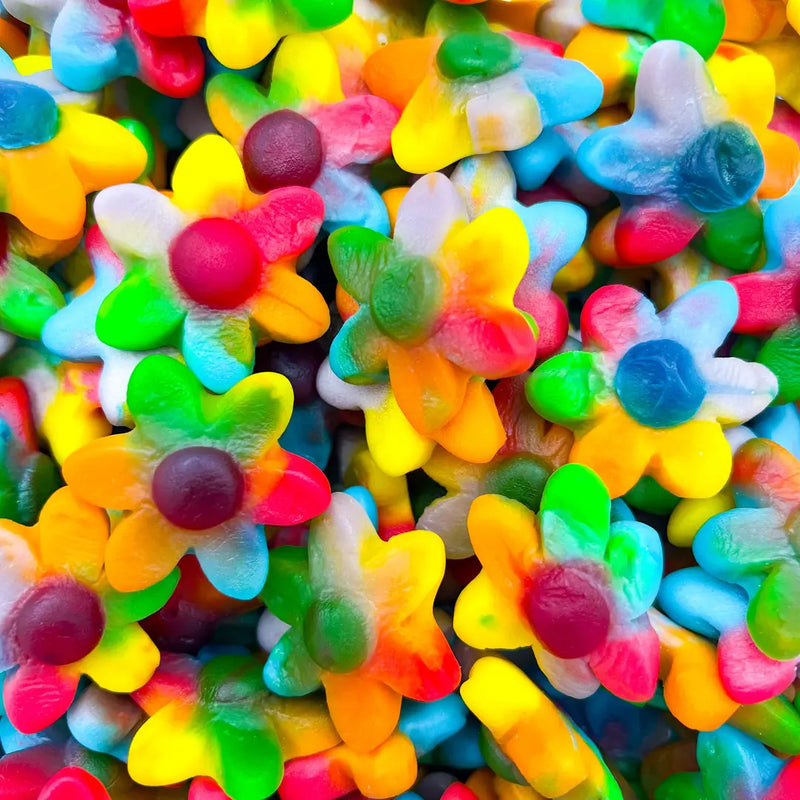 Fleurs Multicolores Gélifiées Halal – Bonbons Moelleux – Dulceplus – 100g